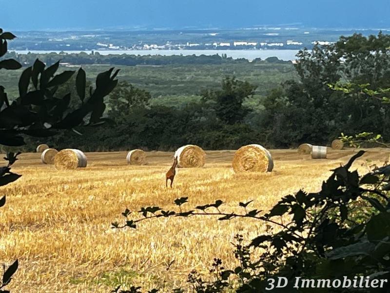 Maison - 450 m² - 10 pièces