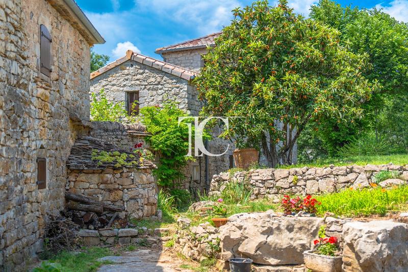 Maison - 305 m² - 14 pièces