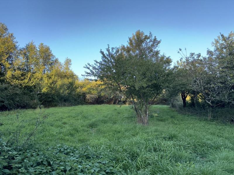 Maison - 65 m² - 5 pièces