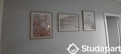 Chambre - 11 m² - 1 pièce