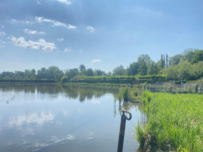 Propriété - 15 000 m² - 2 pièces