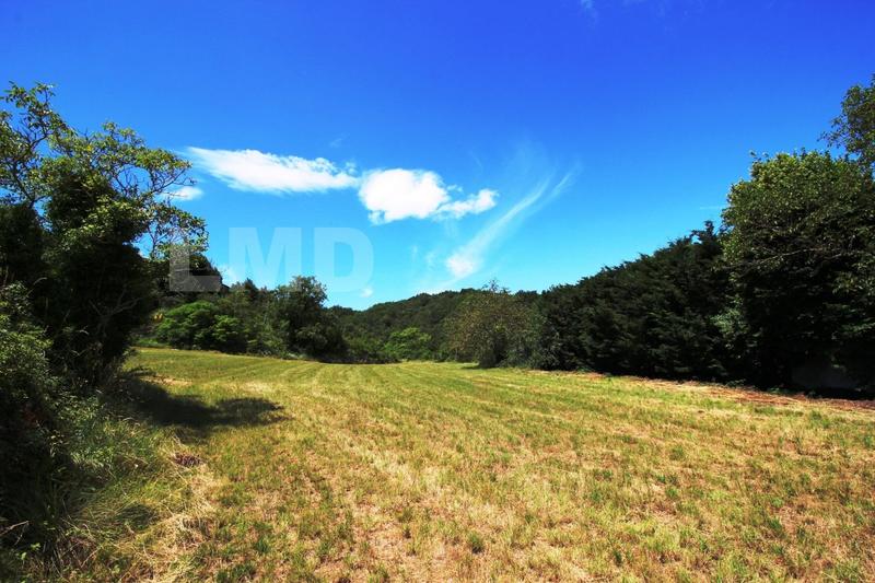 Terrain - 10 678 m²