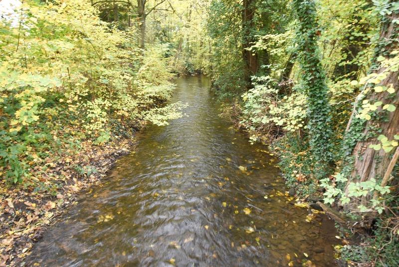 Terrain constructible - 577 m²