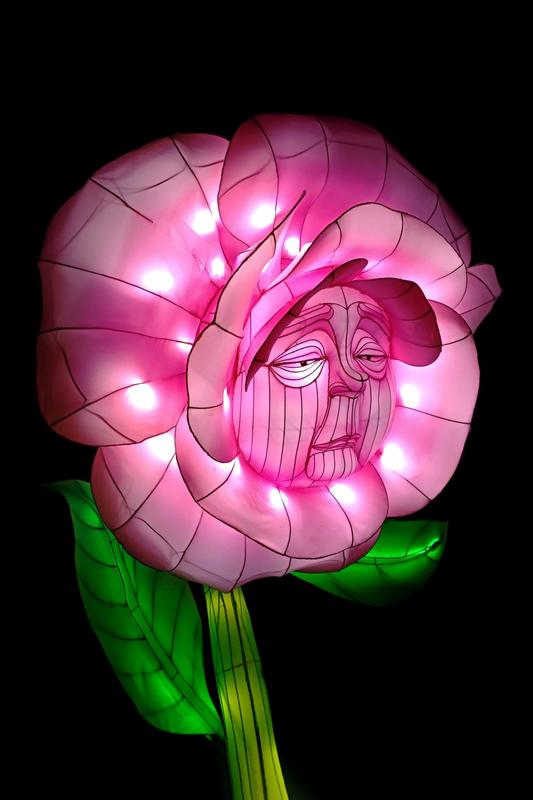 Exposition au château : le club photo d'Excideuil