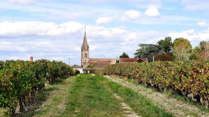 Terrain constructible - 568 m²