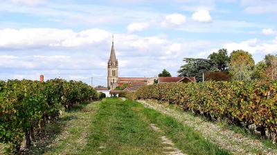 Terrain constructible - 568 m²