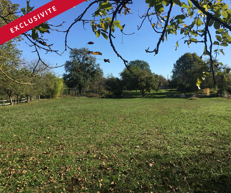 Maison de domaine équestre - 94 m² - 3 pièces