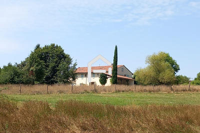 Corps de ferme - 300 m² - 8 pièces