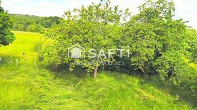 Maison - 200 m² - 11 pièces