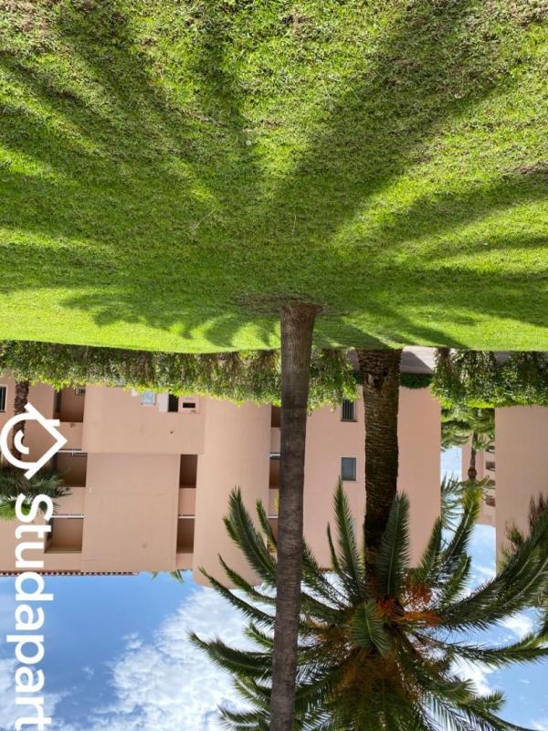 Appartement - 29 m² - 2 pièces