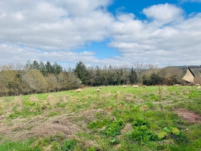 Maison de campagne - 74 m² - 4 pièces