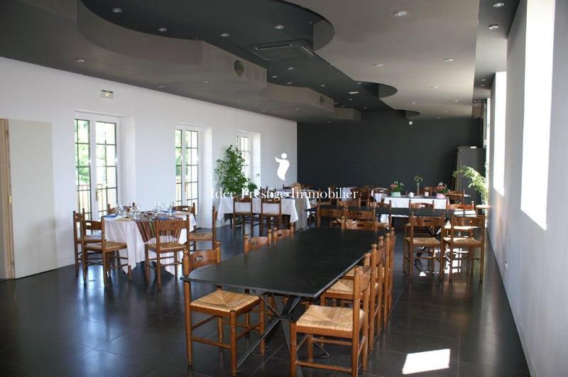 Maison ancienne - 513 m² - 18 pièces