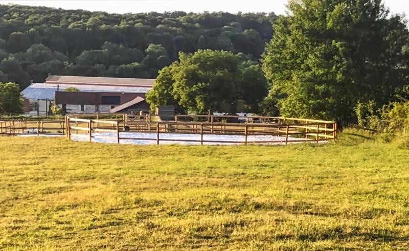 Maison de domaine équestre - 220 m² - 8 pièces