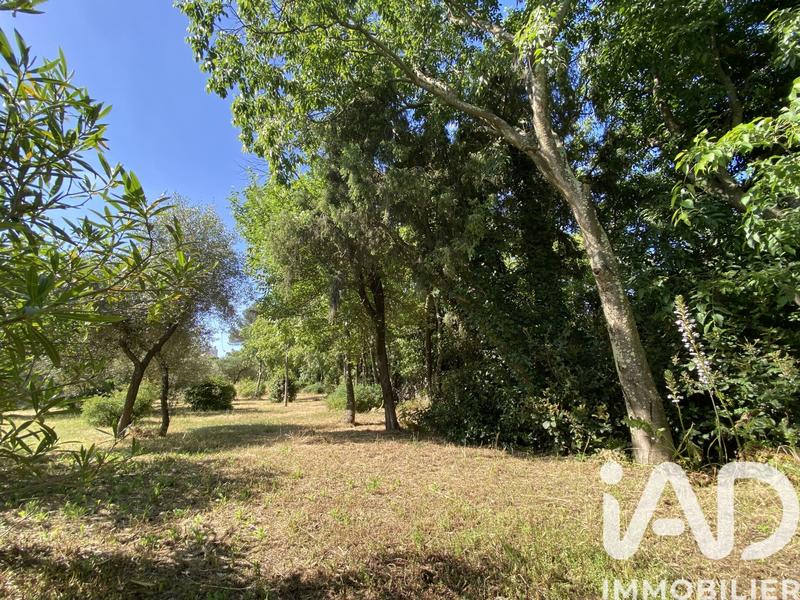 Maison de maîtres - 295 m² - 11 pièces