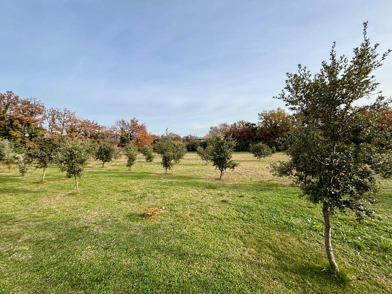 Terrain - 1 205 m²