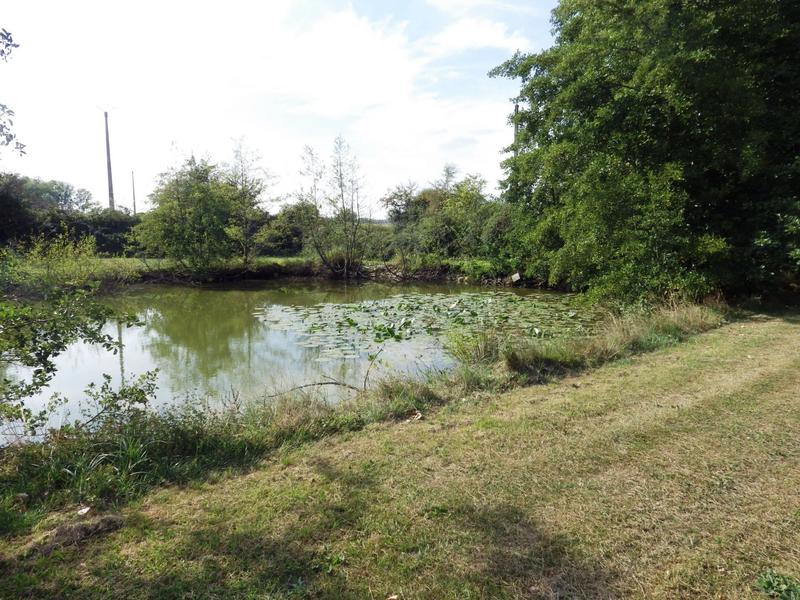 Terrain - 12 496 m²