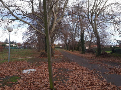 Propriété - 1 000 m² - 14 pièces