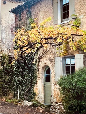 Maison traditionnelle - 251 m² - 5 pièces