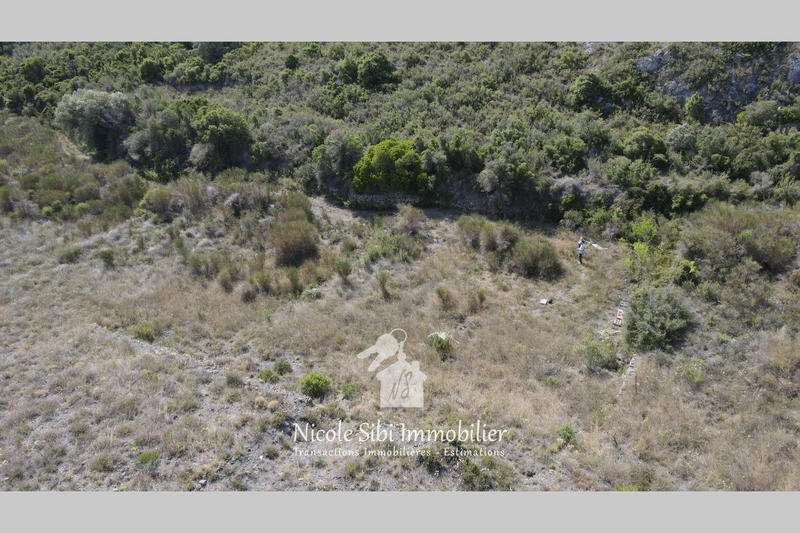 Terrain agricole - 15 861 m²