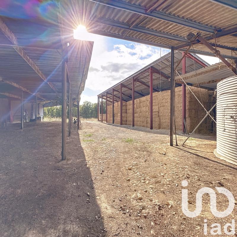 Ferme - 159 m² - 5 pièces