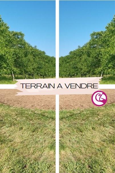 Terrain constructible - 350 m²