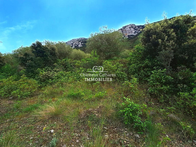 Terrain agricole - 51 314 m²