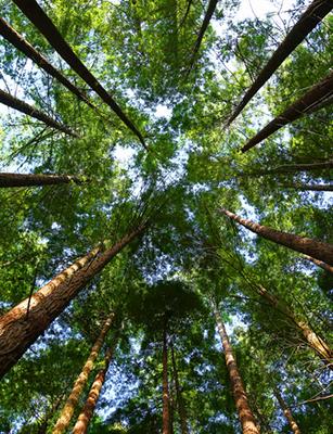 Appartement - 98 m² - 4 pièces