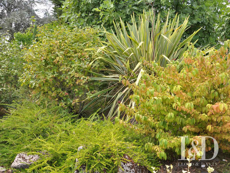 Maison - 206 m² - 6 pièces