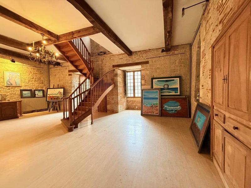 Hôtel particulier - 381 m² - 7 pièces