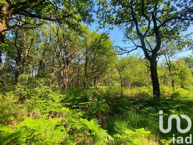 Terrain - 145 689 m²