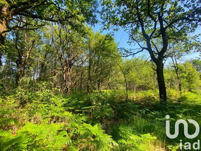 Terrain - 145 689 m²