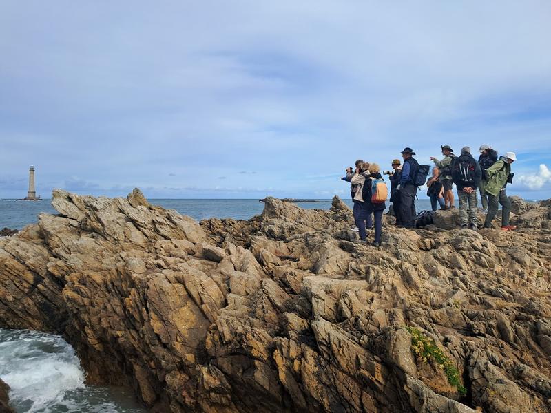 Séjour "Lumière furtive" - le Cotentin et ses phares