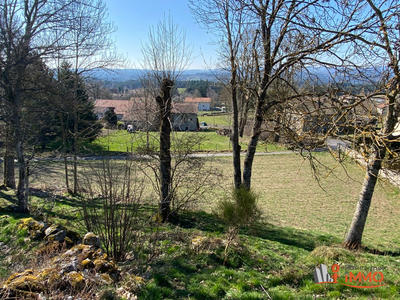 Terrain - 2 175 m²