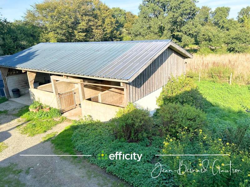 Maison en pierre - 144 m² - 7 pièces