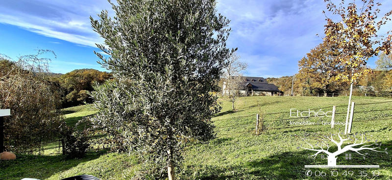 Maison contemporaine - 169 m² - 5 pièces