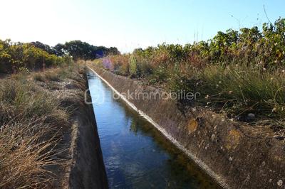 Terrain - 87 173 m²