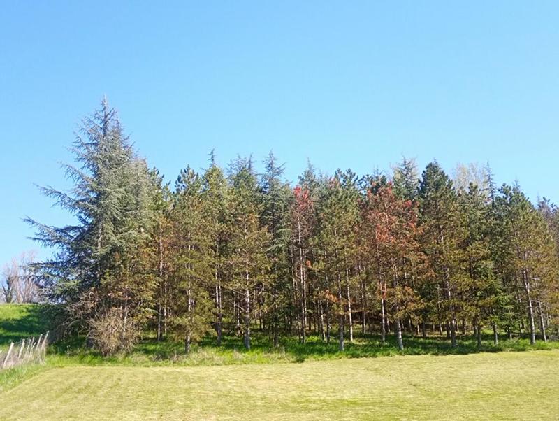 Terrain constructible - 4 000 m²