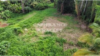 Terrain constructible - 1 187 m²