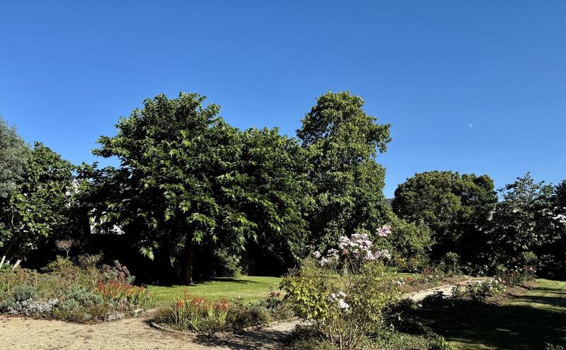 Maison - 243 m² - 10 pièces