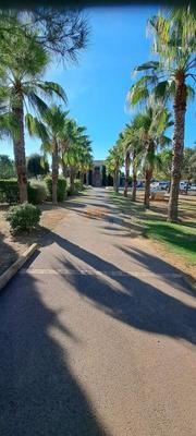 Mas - 29 m² - 2 pièces