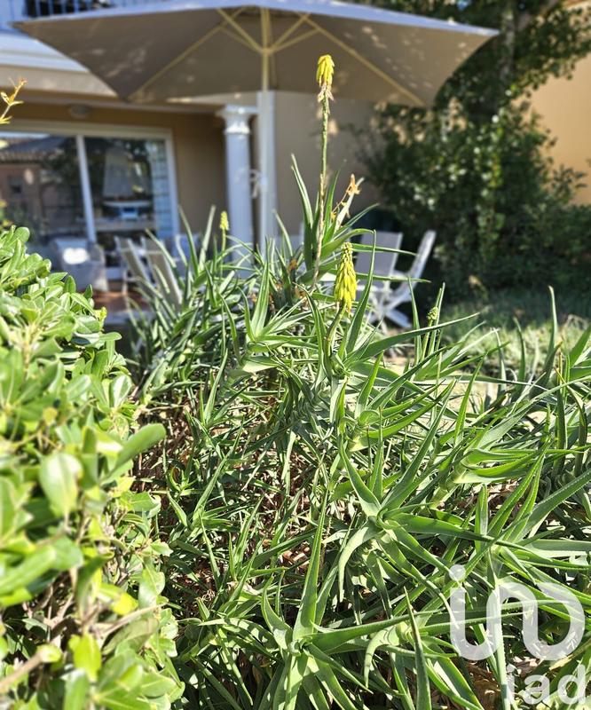 Appartement - 34 m² - 2 pièces