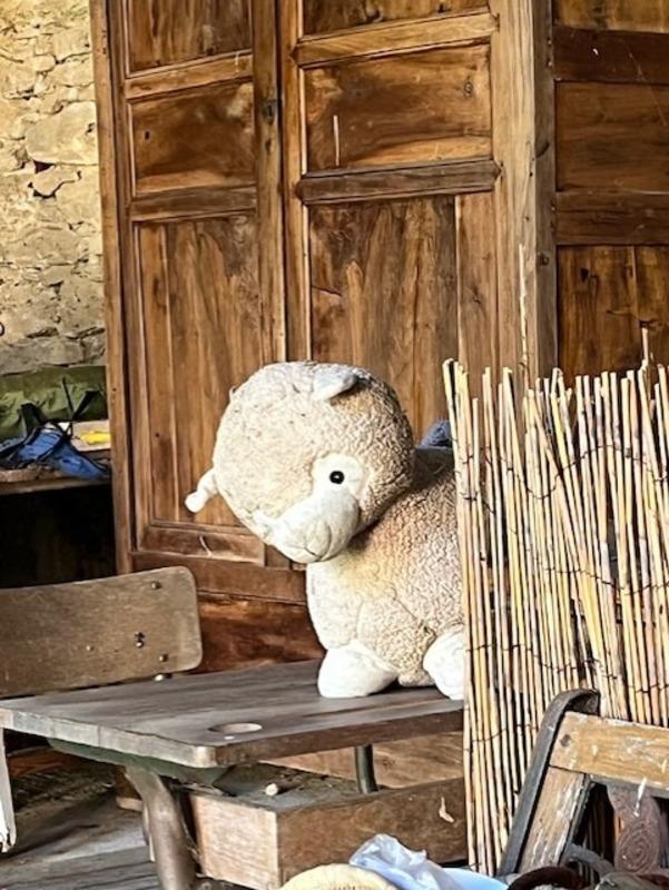 Propriété - 220 m² - 7 pièces