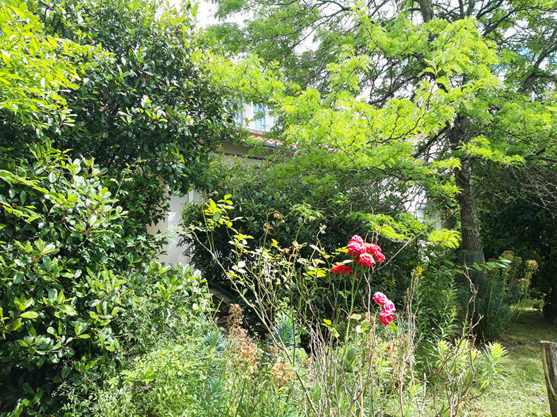 Maison - 290 m² - 10 pièces