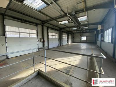 Local d'activité / Entrepôt - 1 646 m²