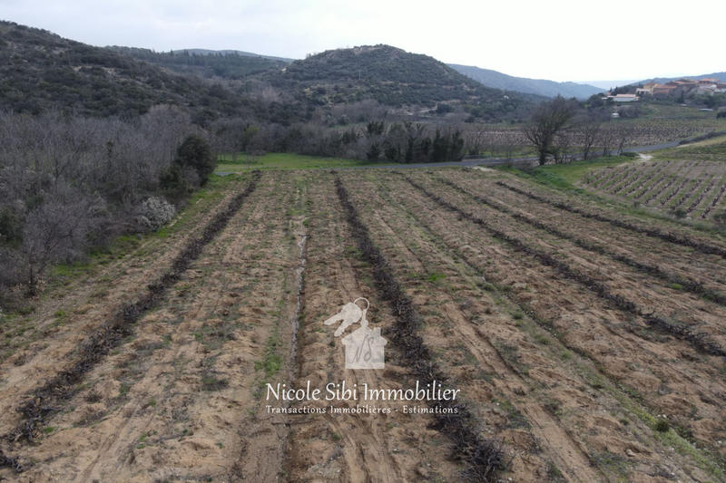 Terrain agricole - 7 731 m²