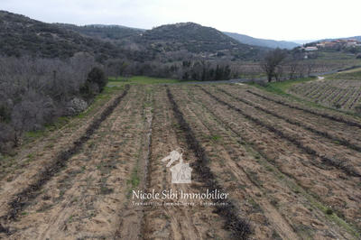 Terrain agricole - 7 731 m²