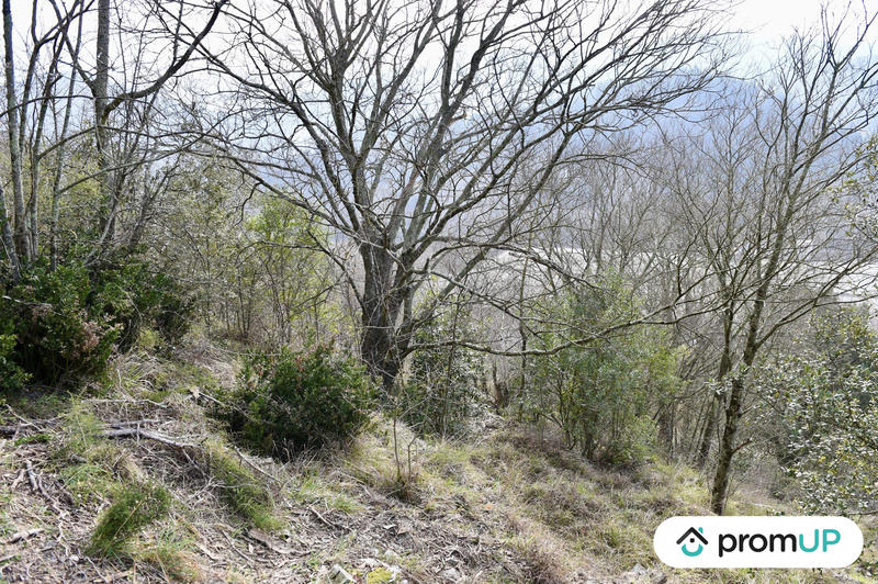 Terrain agricole - 2 780 m²