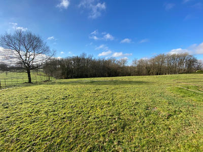 Terrain constructible - 1 561 m²