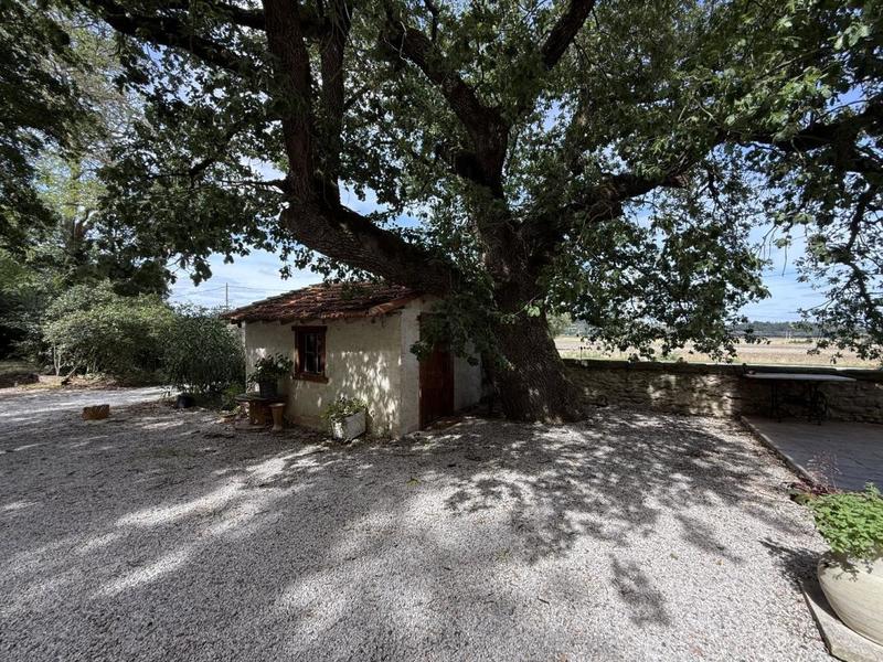 Maison de maîtres - 294 m² - 12 pièces