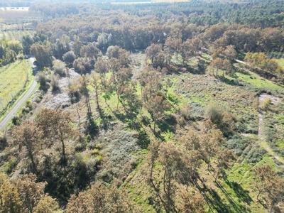 Terrain - 31 811 m²